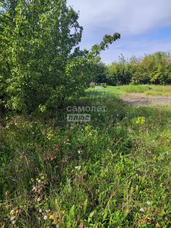 Участок в Липецкая область, Грязинский муниципальный округ, с. ... - Фото 2