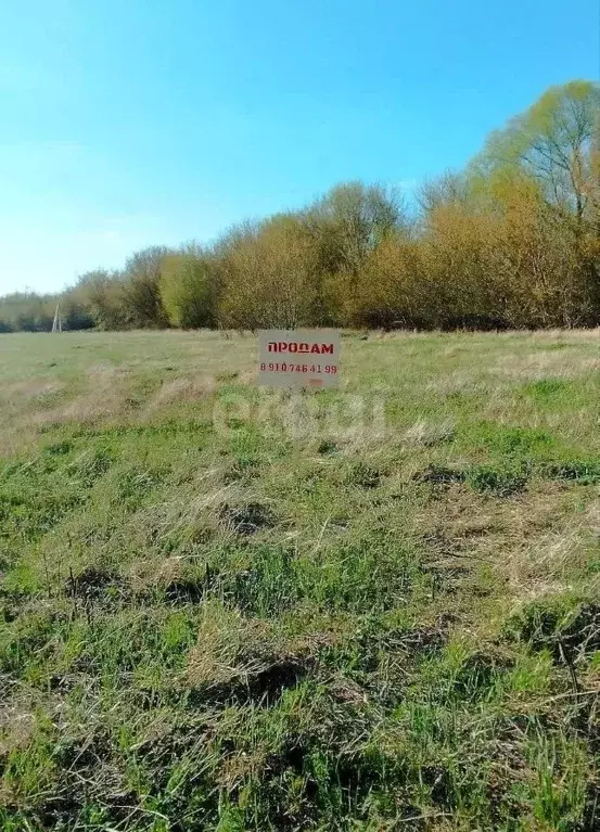 Участок в Воронежская область, Хохольский район, Новогремяченское ... - Фото 0