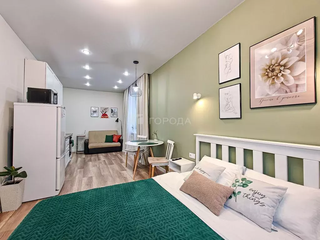 Студия Новосибирская область, Новосибирск Гурьевская ул., 177 (30.0 м) - Фото 2