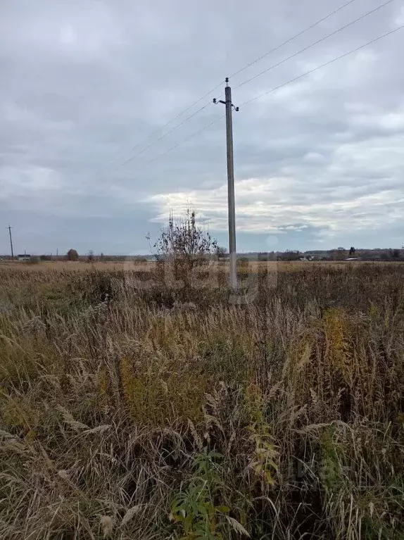 Участок в Калужская область, Бабынинский муниципальный округ, Утешево ... - Фото 1