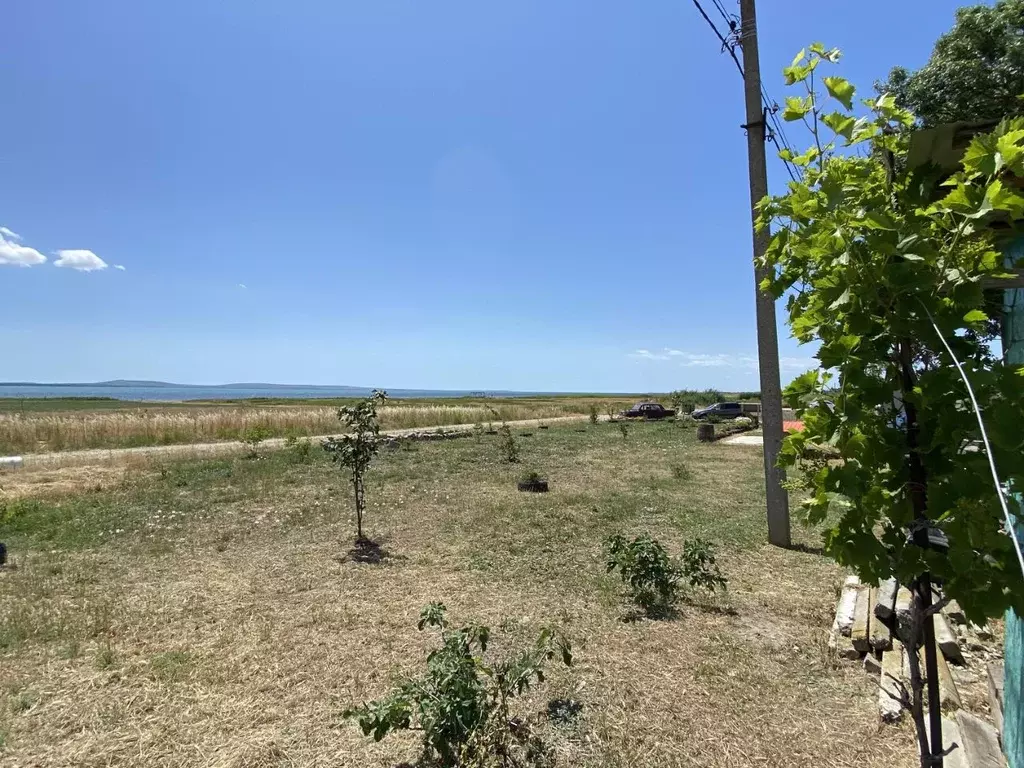 Участок в Краснодарский край, Темрюкский район, Фонталовское с/пос, ... - Фото 2