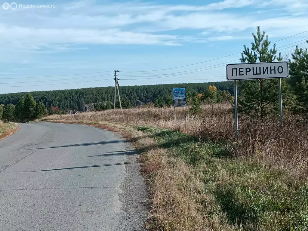 Участок в Свердловская область, Режевской муниципальный округ, село ... - Фото 1