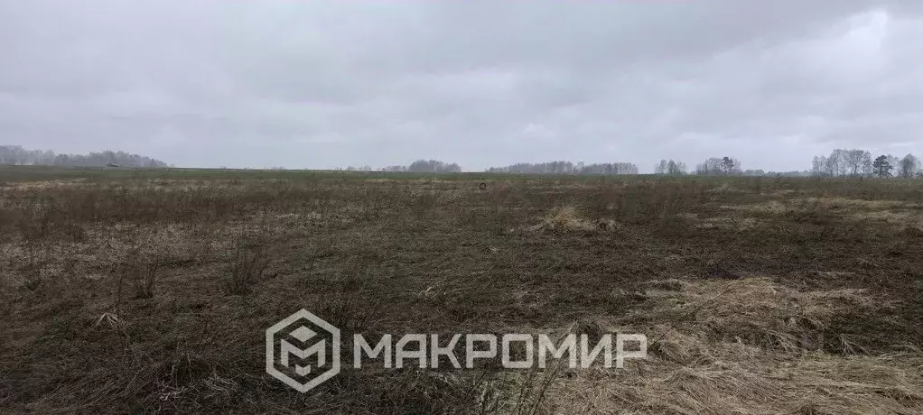 Участок в Брянская область, Брянский район, Добрунское с/пос, д. ... - Фото 2