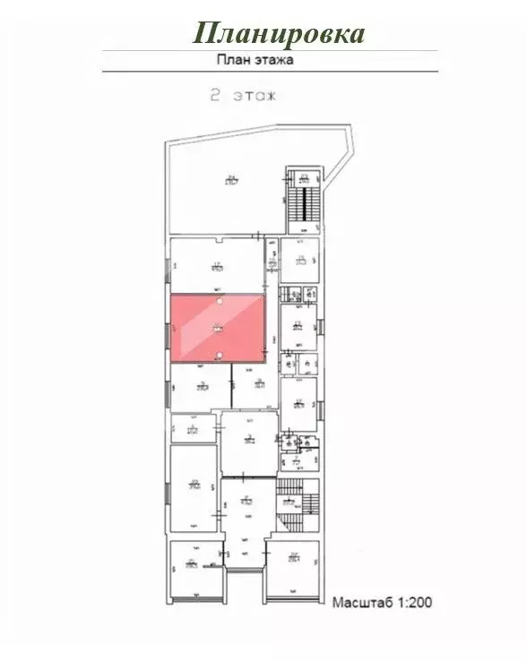 Торговая площадь в Московская область, Красногорск городской округ, с. ... - Фото 2