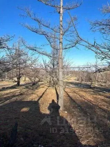Участок в Иркутская область, Иркутск  (214.8 сот.) - Фото 1