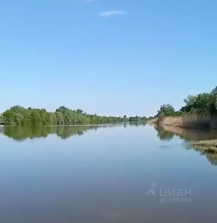 Участок в Астраханская область, Камызякский район, с. ... - Фото 0