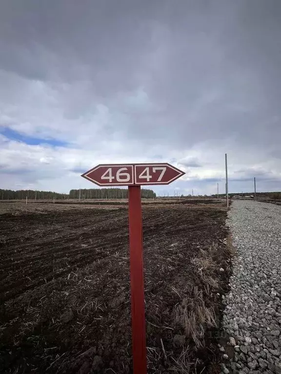 Участок в Свердловская область, Тугулымский городской округ, с. ... - Фото 1