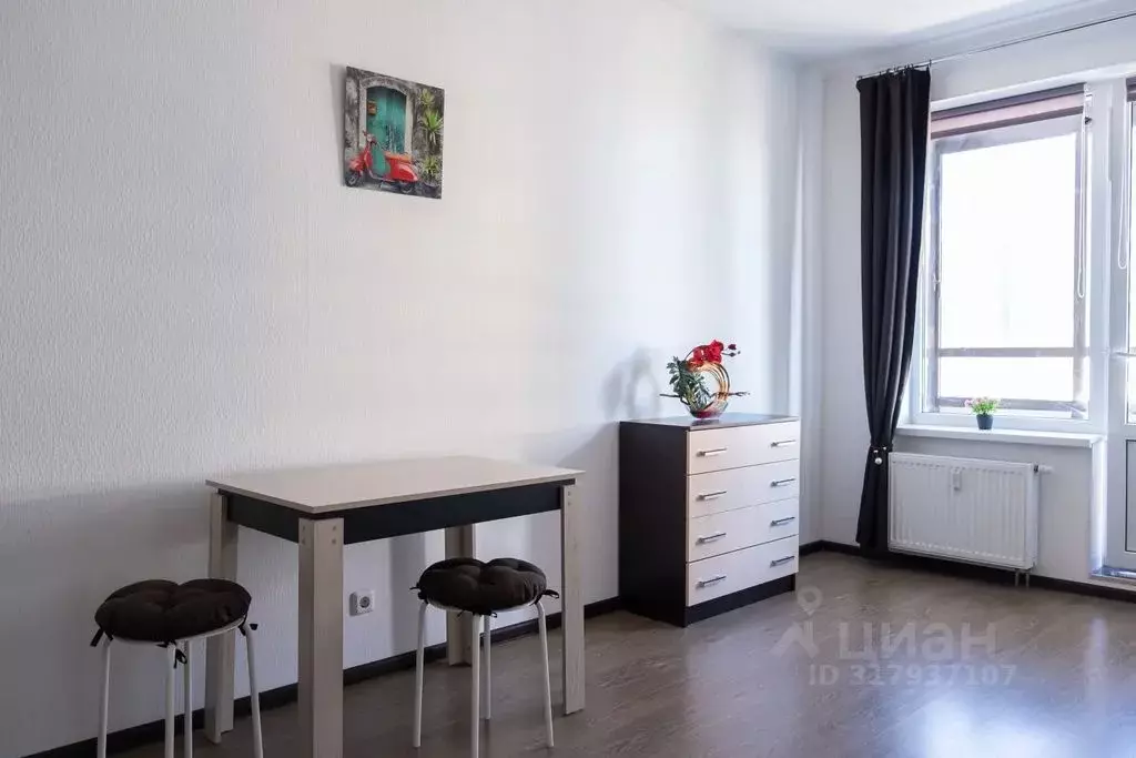 Студия Санкт-Петербург Комендантский просп., 66к1 (25.0 м) - Фото 0
