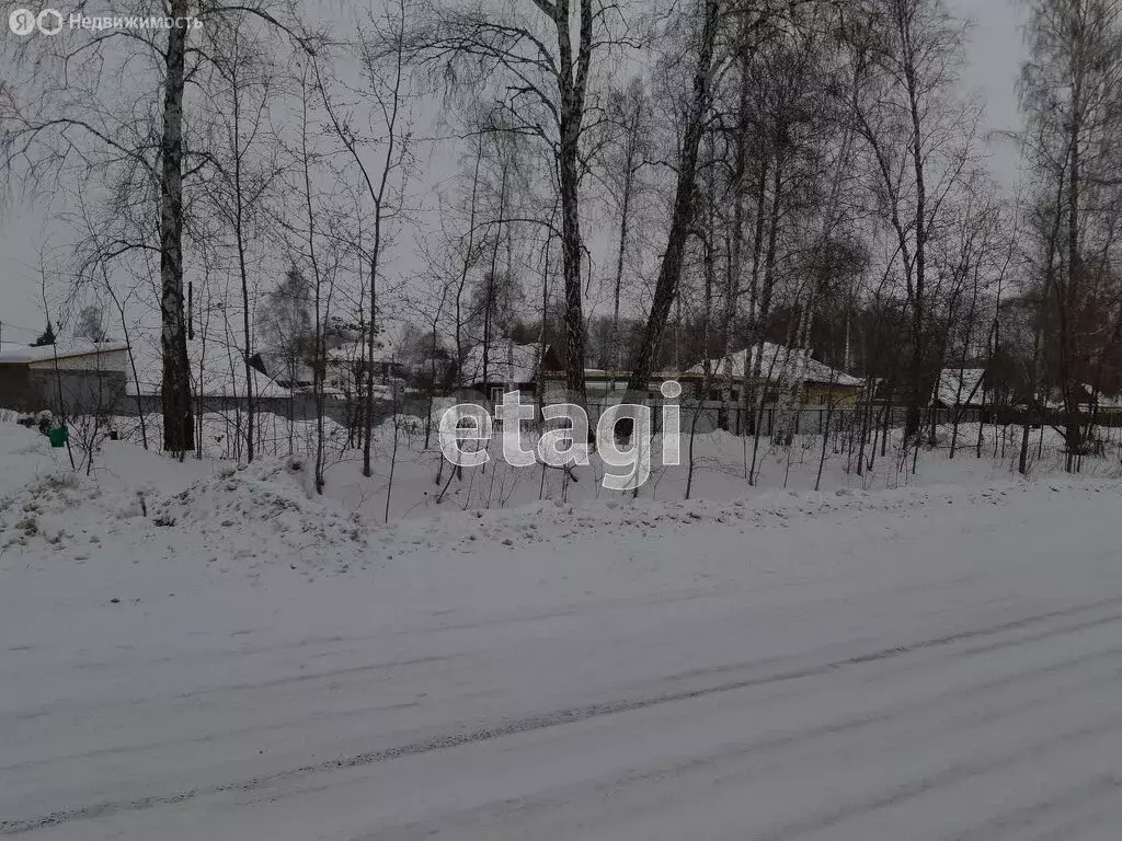 Участок в Тюмень, территория СОСН Тура, Сливовая улица (5.08 м) - Фото 2