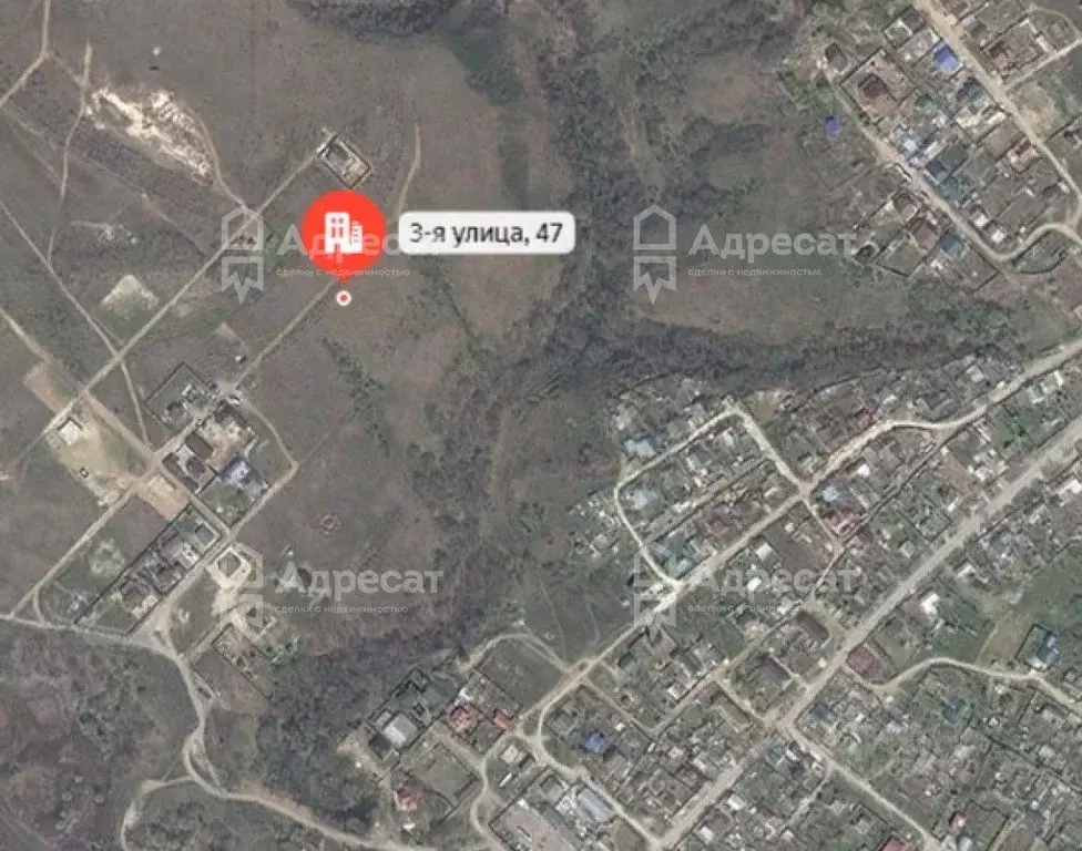 Участок в Волгоградская область, Городищенский район, Царицынское ... - Фото 1