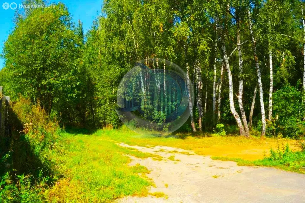 Участок в Московская область, Ленинский городской округ, деревня ... - Фото 1
