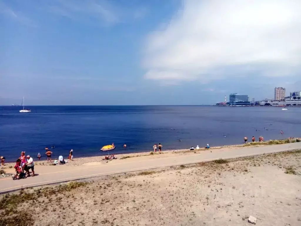 1-к кв. Приморский край, Владивосток Верхнепортовая ул., 78 (30.0 м) - Фото 0