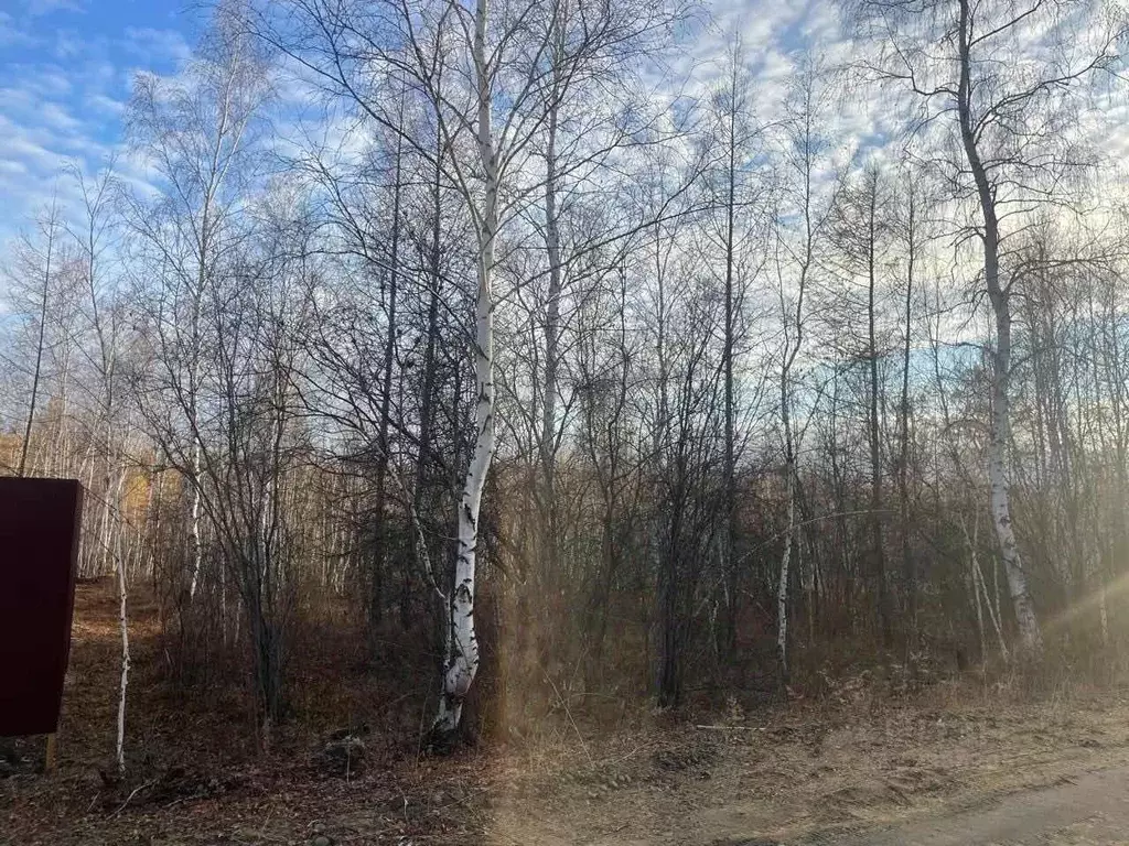 Участок в Саха (Якутия), Якутск городской округ, с. Маган  (10.0 сот.) - Фото 2