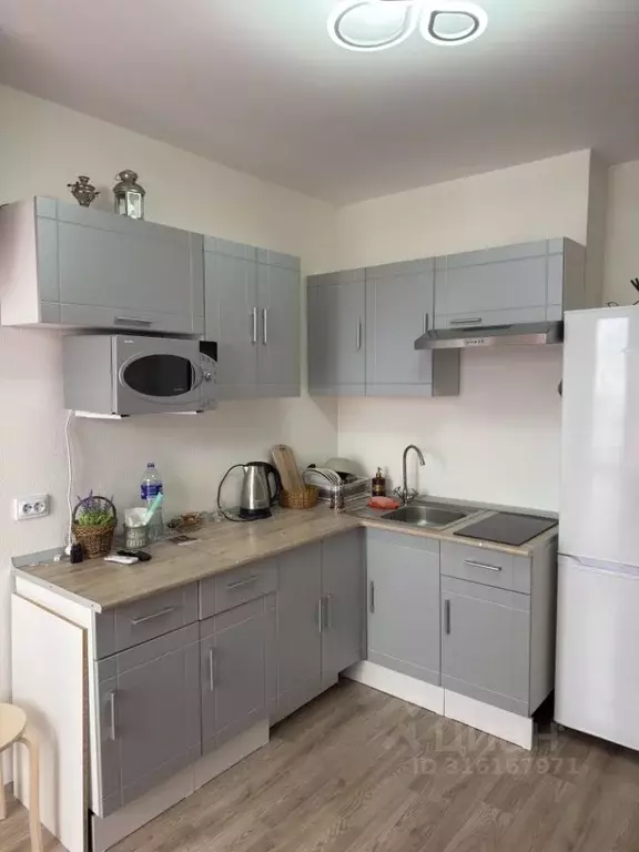 Студия Санкт-Петербург наб. Реки Каменки, 19к4 (16.2 м) - Фото 0