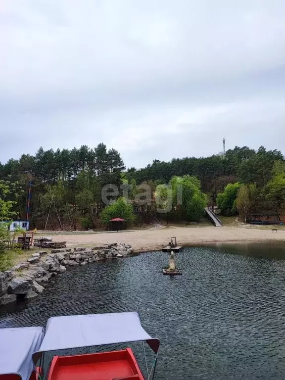 Дом в Амурская область, Благовещенск городской округ, пос. Мухинка 7 ... - Фото 1