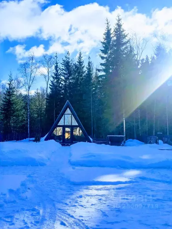 Дом в Московская область, Щелково городской округ, Зеленая тер.  (53 ... - Фото 1