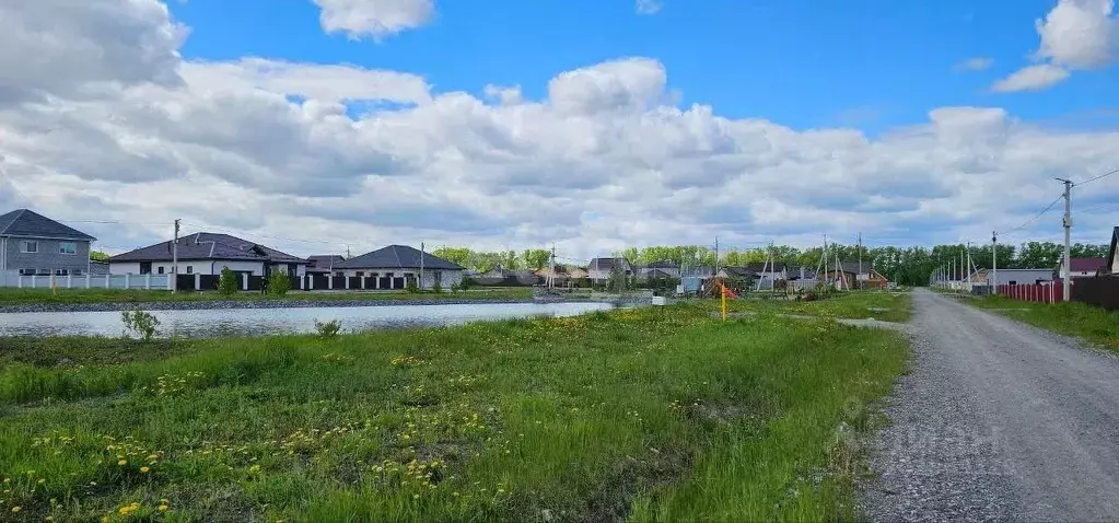 Участок в Новосибирская область, Новосибирский район, Сибирские ... - Фото 1