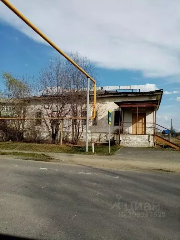 Торговая площадь в Челябинская область, Красноармейский район, с. ... - Фото 0