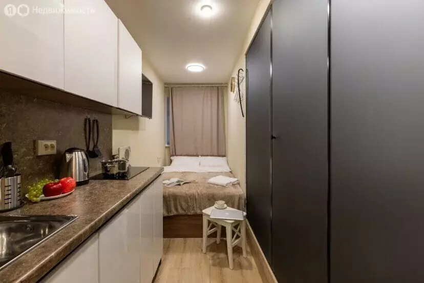 Квартира-студия: Санкт-Петербург, набережная реки Фонтанки, 168 (10 м) - Фото 1