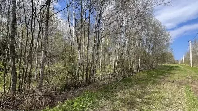 Участок 14,9 сот. (СНТ, ДНП) - Фото 1