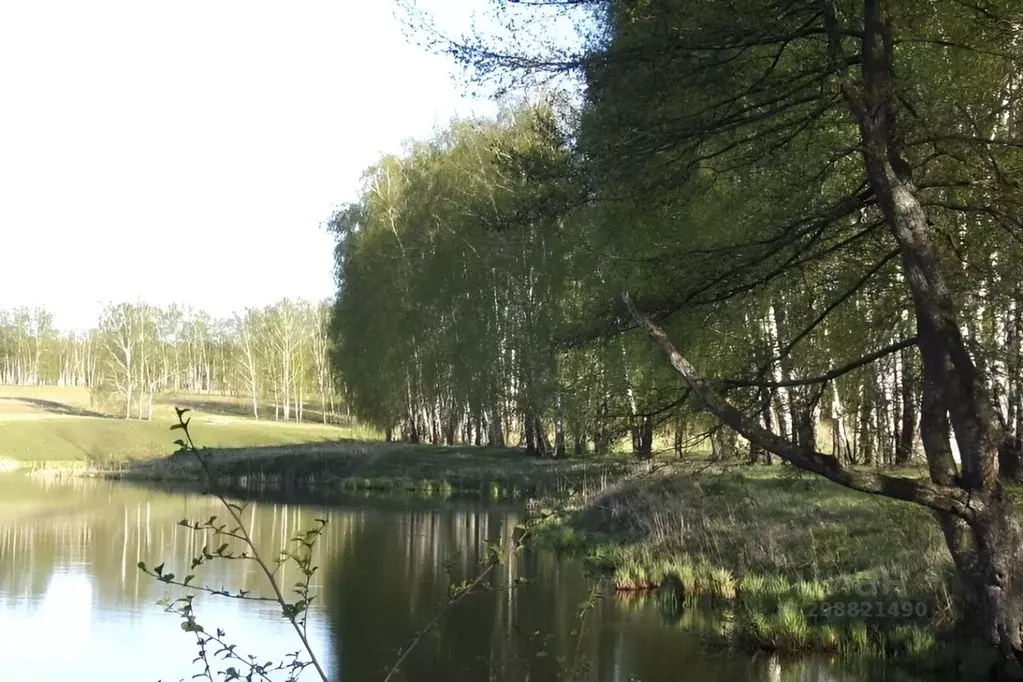 Участок в Тульская область, Ясногорский район, Теляковское ... - Фото 2