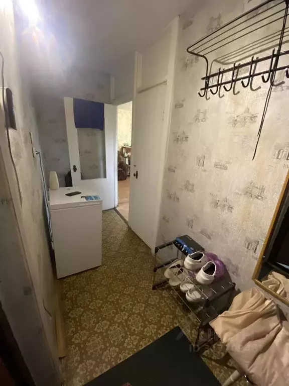 1-к кв. Московская область, Ногинск Богородский городской округ, ул. ... - Фото 0