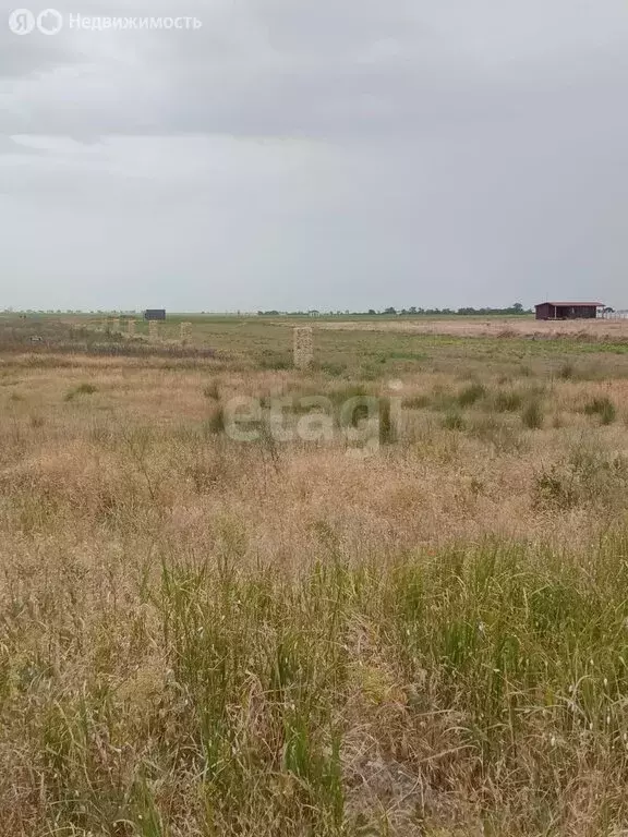 Участок в село Витино, улица Гагарина (30 м) - Фото 1