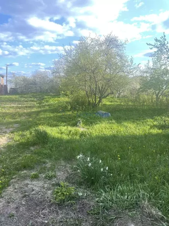 Участок в Нижегородская область, Дальнеконстантиновский муниципальный ... - Фото 1