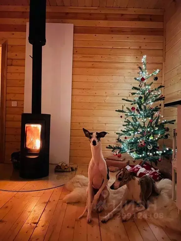 Дом в Новгородская область, Новгородский район, Ракомское с/пос, д. ... - Фото 2