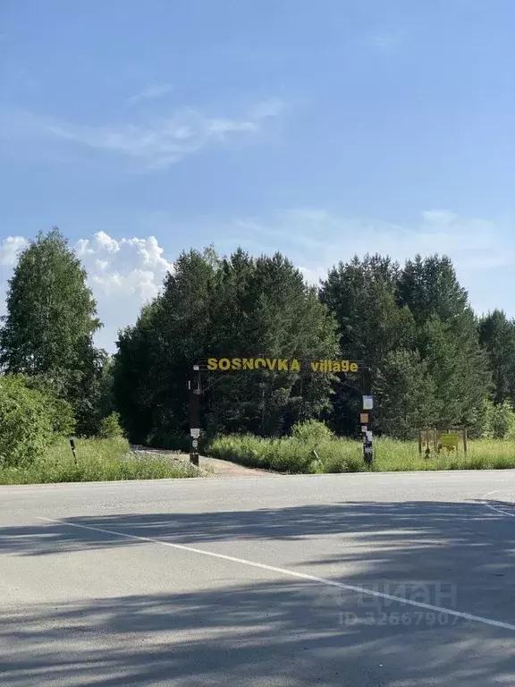 Участок в Новосибирская область, Новосибирский район, Кубовинский ... - Фото 2