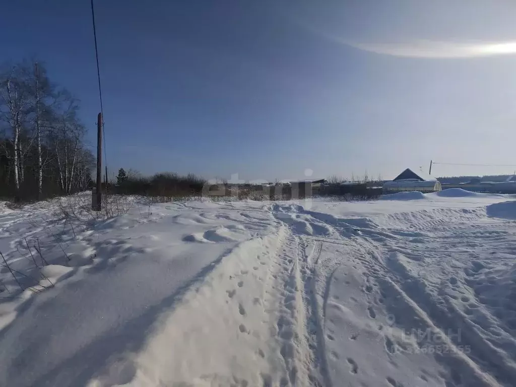 Участок в Курганская область, Курган Малиновка-8 СТ, ул. Лесная (5.5 ... - Фото 2