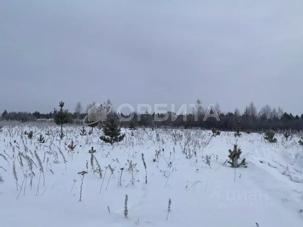 Участок в Тюменская область, Тюменский район, д. Елань 14 (7.0 сот.) - Фото 0