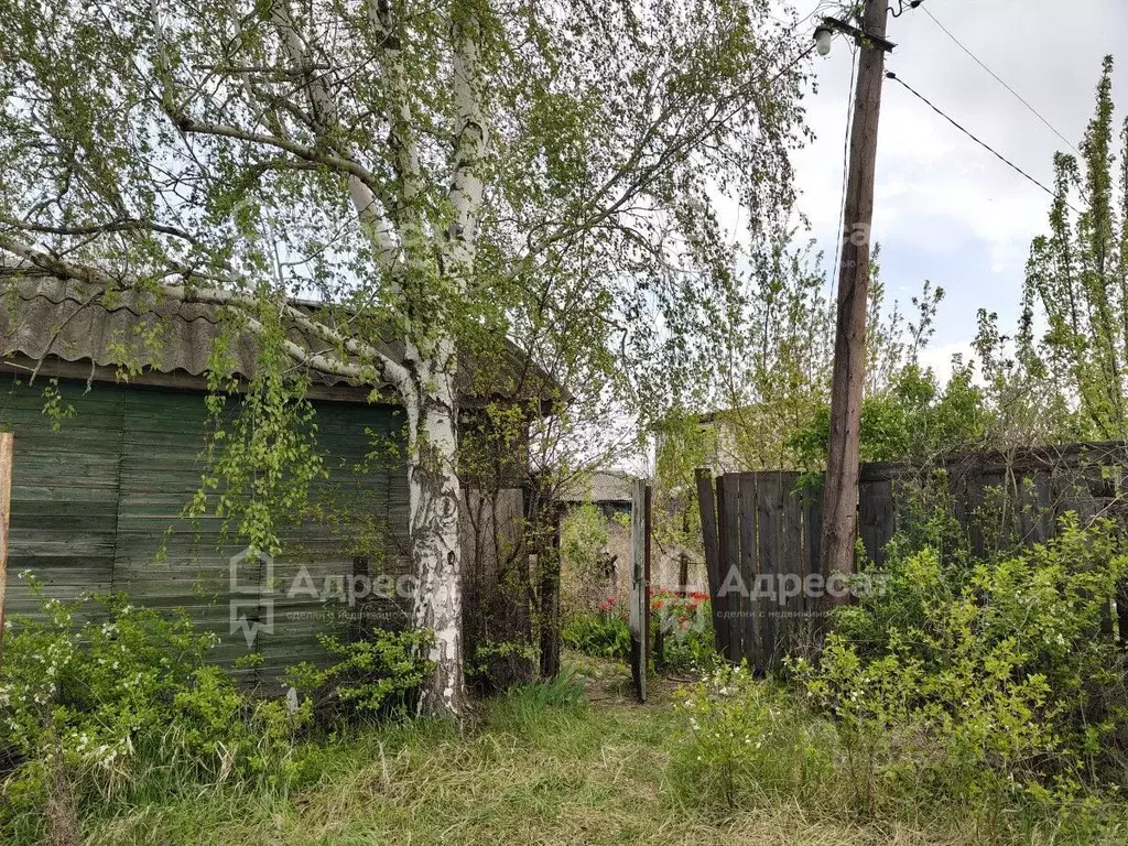 Дом в Волгоградская область, Волгоград Агат СНТ,  (43 м) - Фото 1