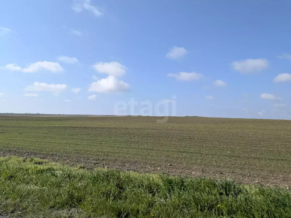 Участок в Крым, Черноморский район, с. Новосельское  (269.83 сот.) - Фото 1