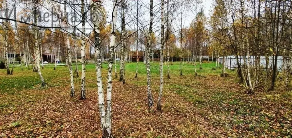 Участок в Калужская область, Боровский район, Совьяки с/пос, Винт СНТ  ... - Фото 0