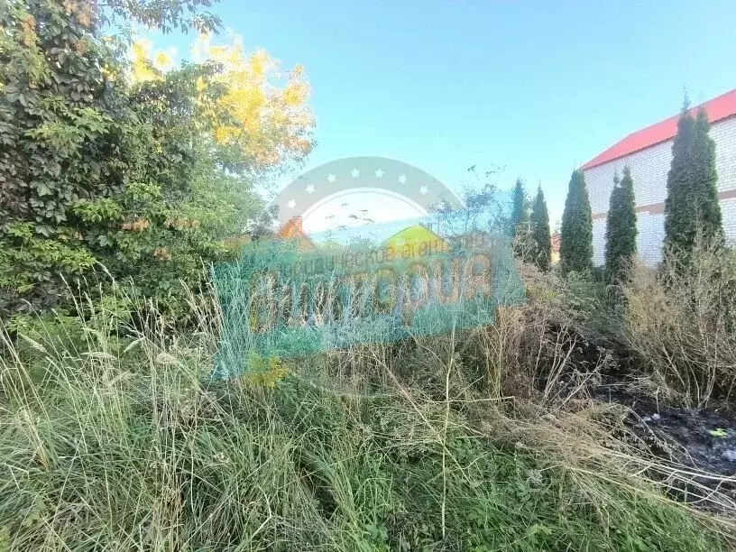 Участок в Орловская область, Мценск ул. Толстого (10.0 сот.) - Фото 1