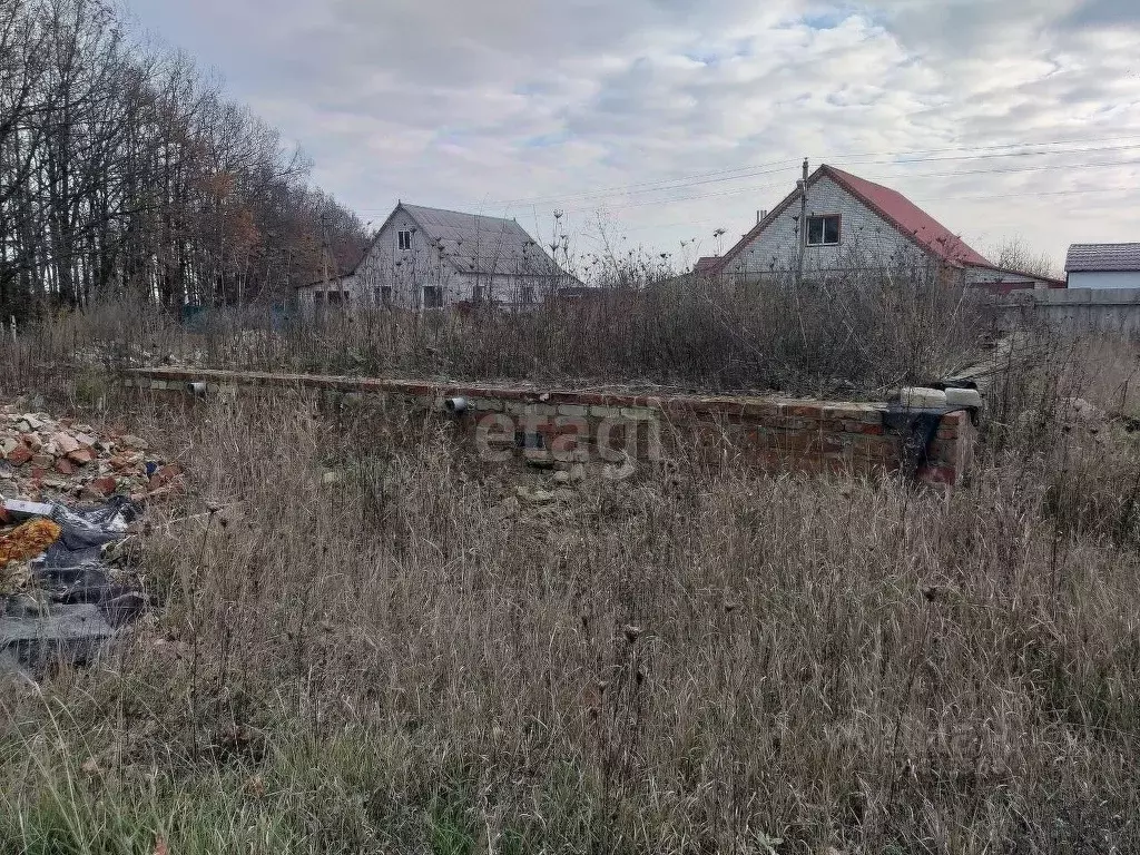 Участок в Белгородская область, Бирюч Красногвардейский район, ... - Фото 0