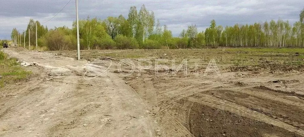 Участок в Тюменская область, Нижнетавдинский муниципальный округ, ... - Фото 2