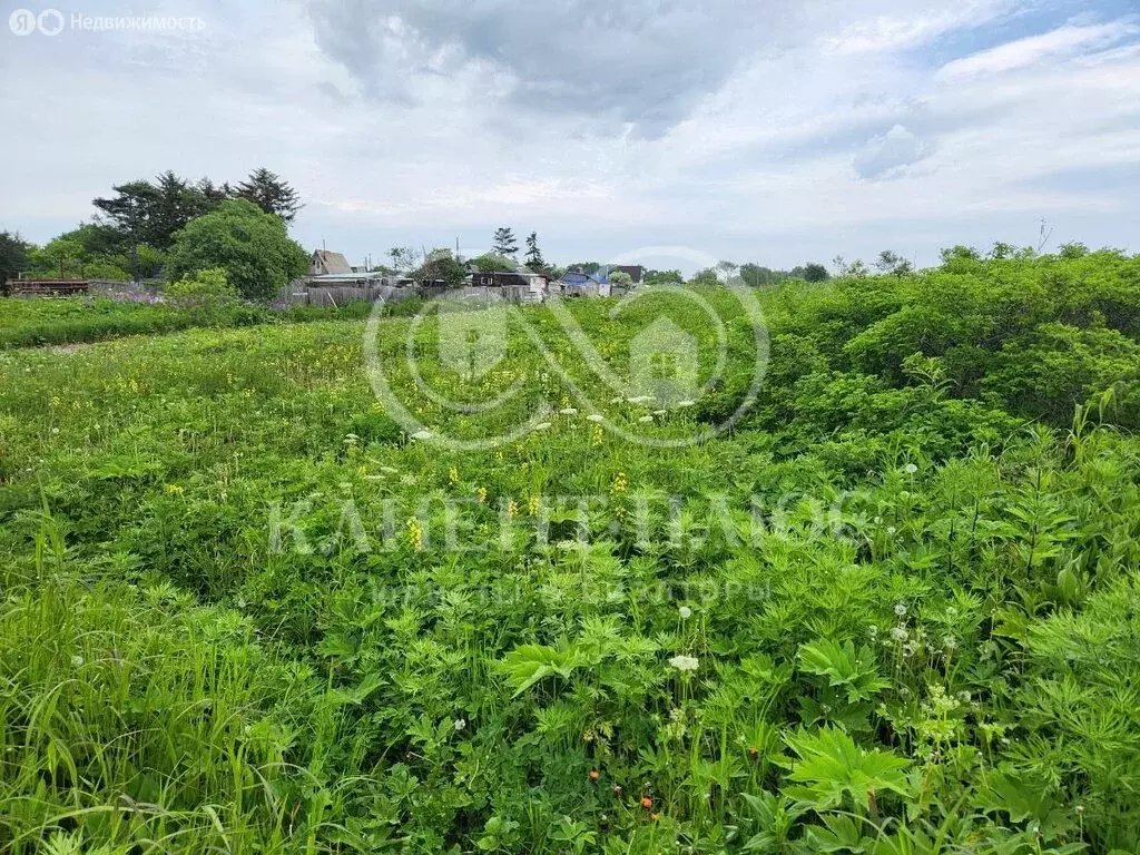 Участок в Сахалинская область, Корсаков (10 м) - Фото 1