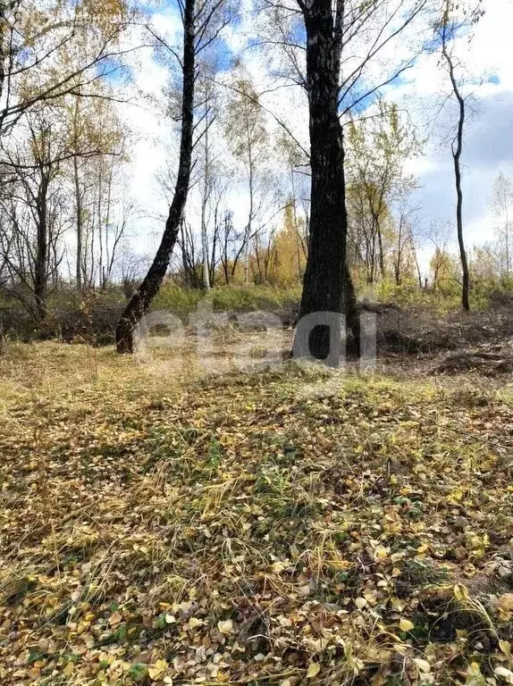 Участок в Тула, СНТ Медвенка (11.1 м) - Фото 0