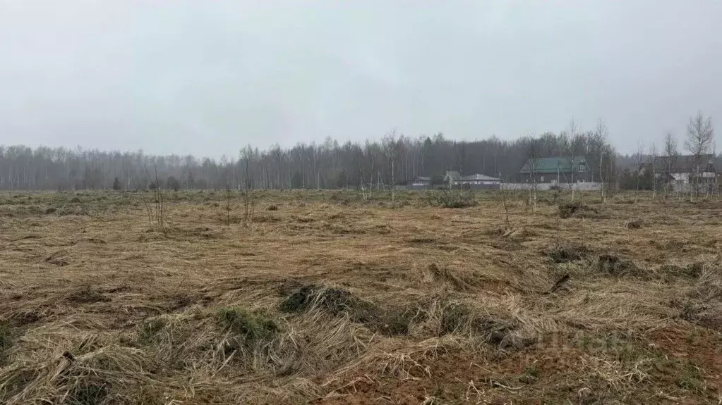 Участок в Московская область, Серпухов городской округ, д. Лукино  ... - Фото 2