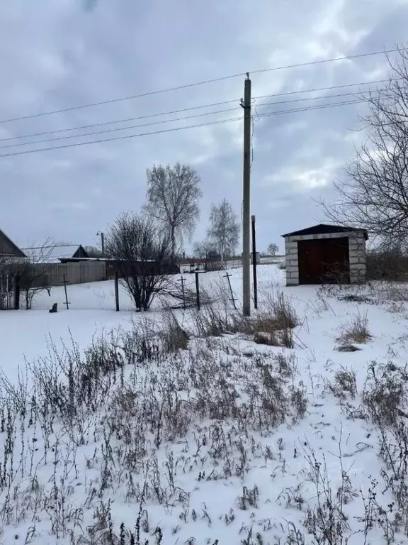Участок в Липецкая область, Лев-Толстовский район, Троицкий сельсовет, ... - Фото 1