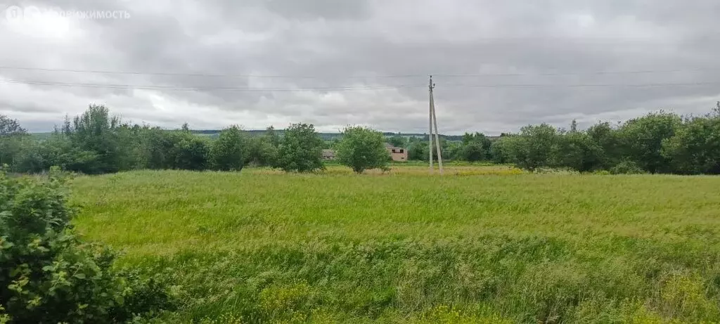 Участок в Семилукский район, село Губарёво (46.7 м) - Фото 1