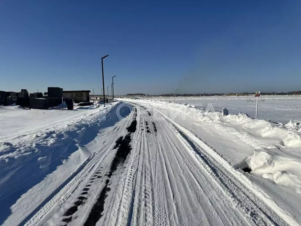 Участок в Тюменская область, Тюменский муниципальный округ, с. ... - Фото 2
