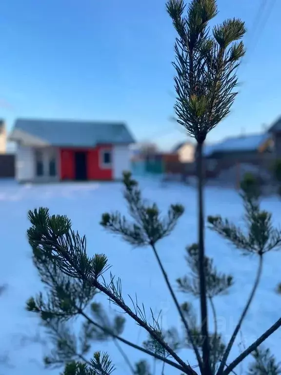 Дом в Ярославская область, Ярославль ул. 9-я Новая, 8 (54 м) - Фото 1