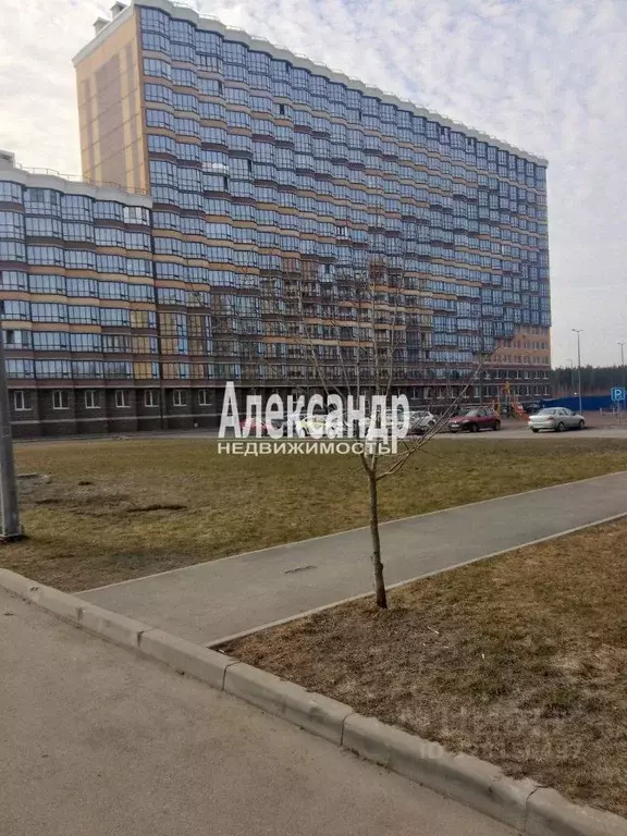 Студия Ленинградская область, Всеволожск ш. Дорога Жизни, 7к1 (19.6 м) - Фото 2