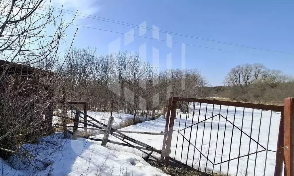 Участок в Воронежская область, Верхнехавский район, Малоприваловское ... - Фото 1
