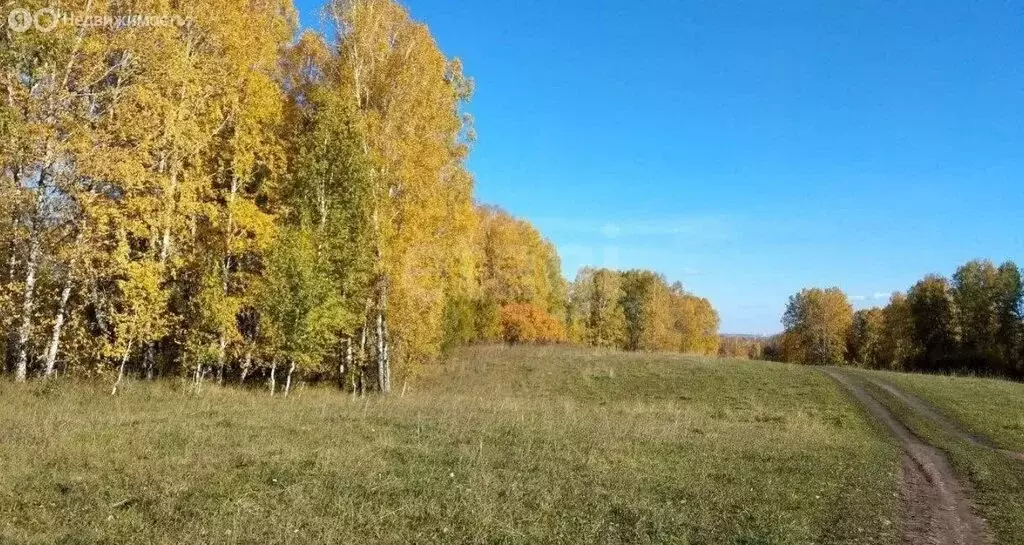 Участок в Совхозный сельсовет, поселок Маяк, Берёзовая улица (10 м) - Фото 1
