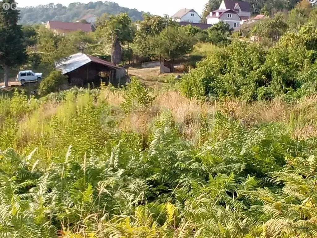 Участок в Краснодарский край, городской округ Сочи, село Бестужевское ... - Фото 1