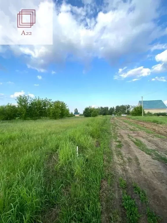 Участок в Алтайский край, Барнаул городской округ, пос. Бельмесево ул. ... - Фото 1